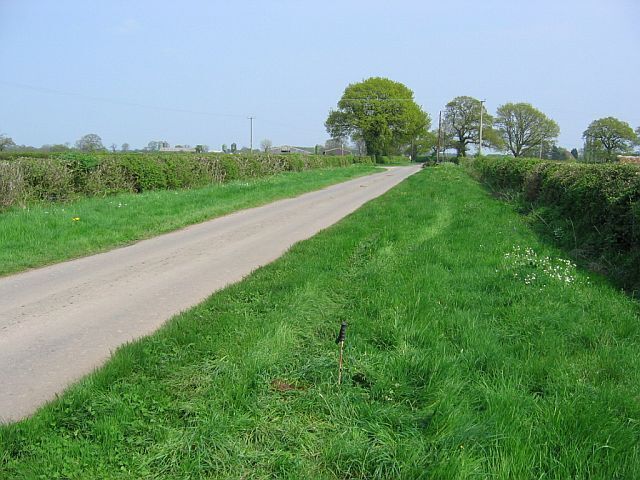 Aston Heath Wide verged road, Aston Heath.