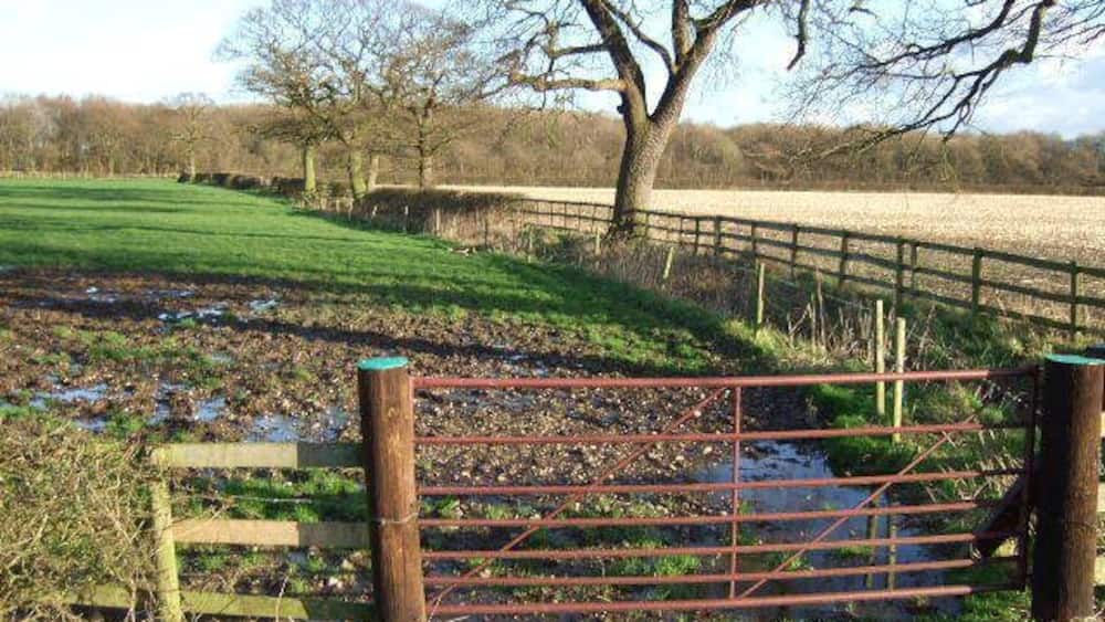 A rural landscape with a wooden gate, a tree, and a field.