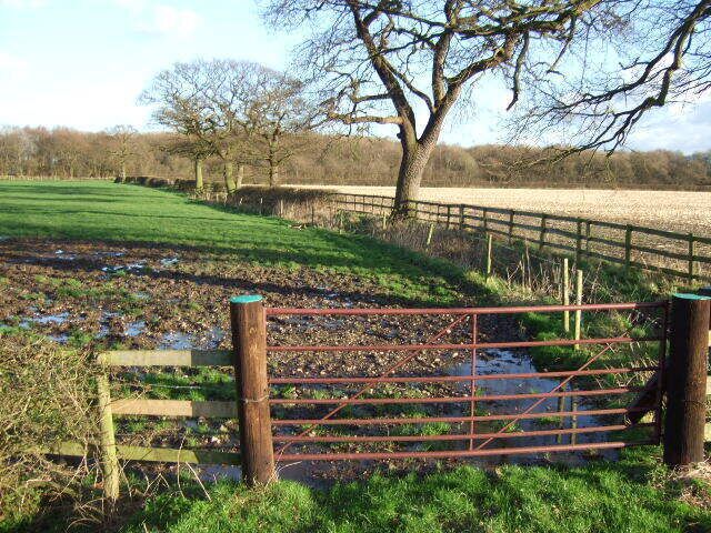 A rural landscape with a wooden gate, a tree, and a field.