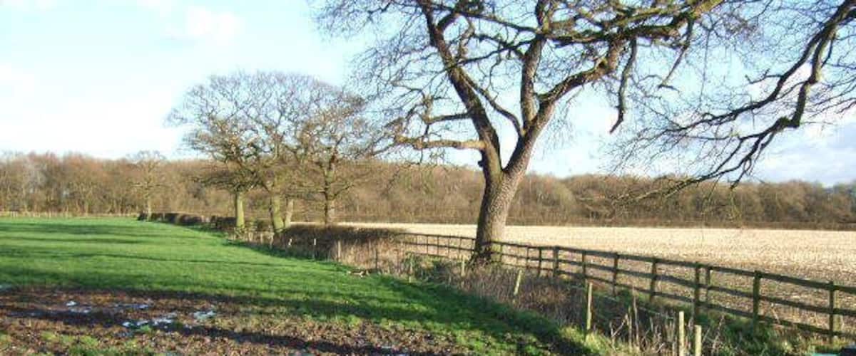 A rural landscape with a wooden gate, a tree, and a field.