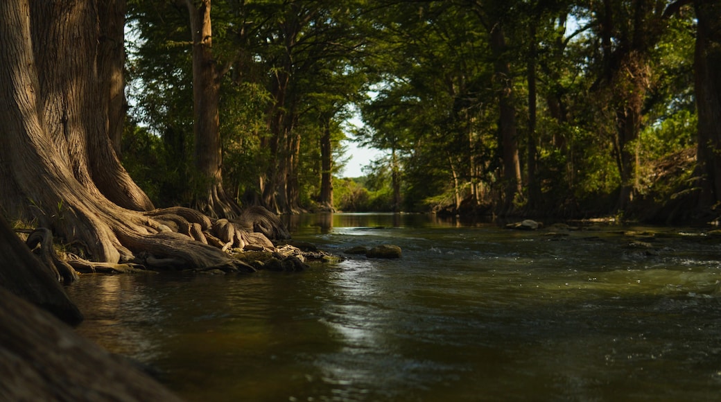 The beautiful Guadalupe River in the Texas Hill Country, USA