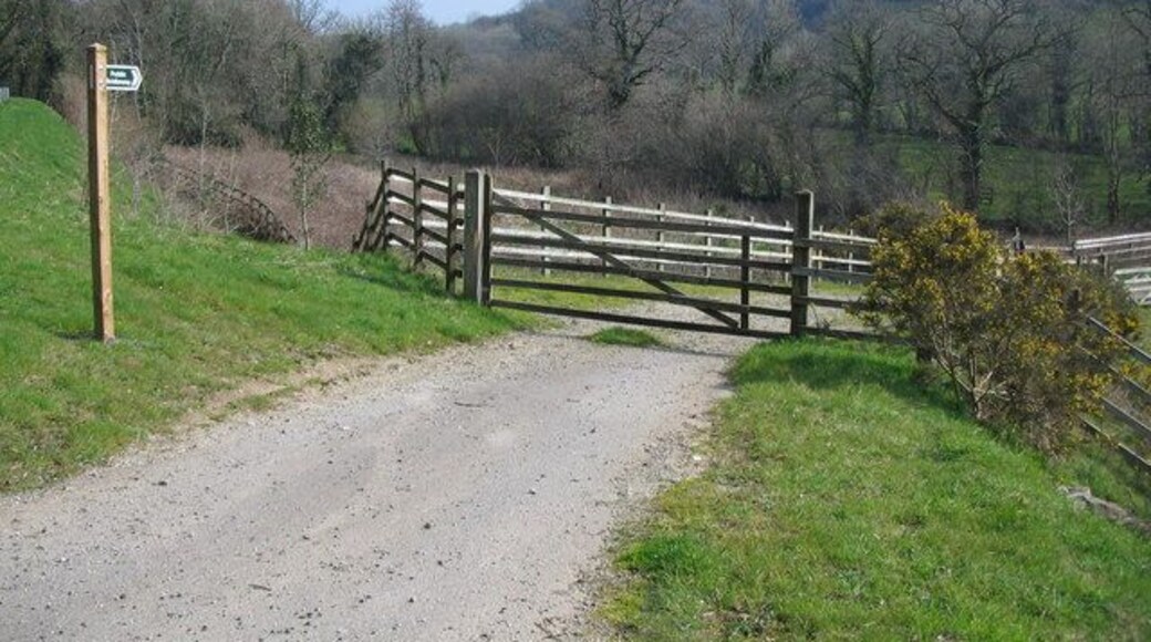 Bridleway to Trevillick A view looking to the northwest towards the start of the bridleway to Trevillick from the A39.