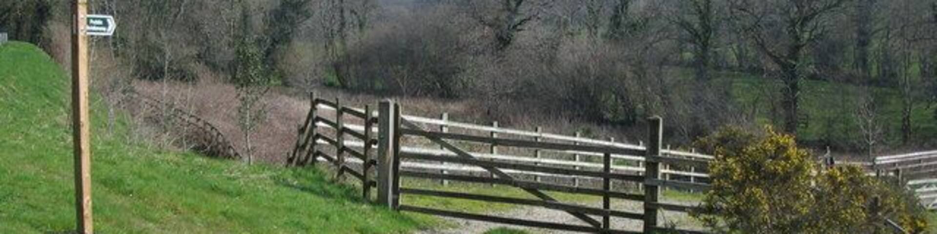 Bridleway to Trevillick A view looking to the northwest towards the start of the bridleway to Trevillick from the A39.
