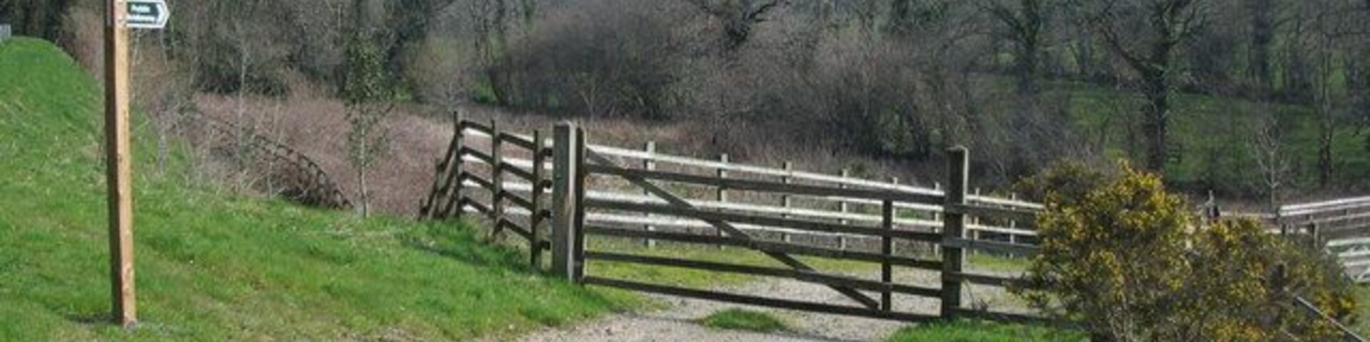 Bridleway to Trevillick A view looking to the northwest towards the start of the bridleway to Trevillick from the A39.