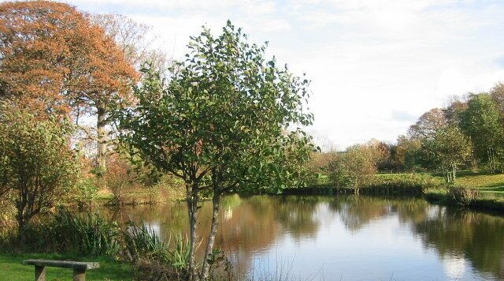 The House Pool Looking Eastwards across the Coarse Lake "House"