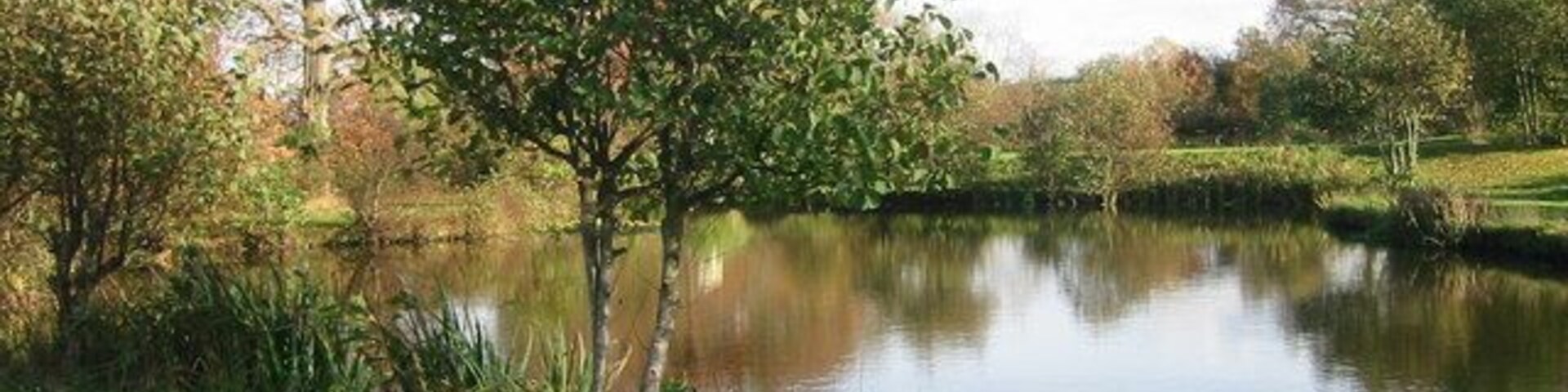 The House Pool Looking Eastwards across the Coarse Lake "House"