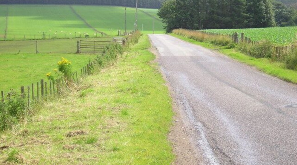 The Braes Road looking towards Tom a Voan