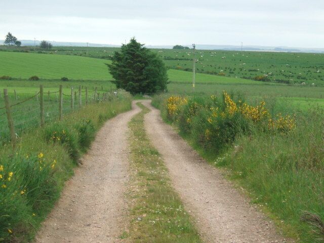 Farm road from Littlehill