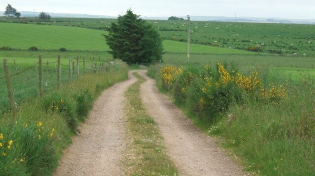 Farm road from Littlehill