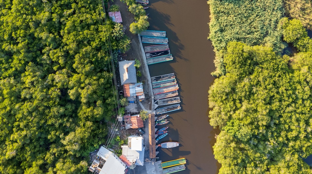 Une vue aérienne d’une rivière où des bateaux sont amarrés le long de la rive, le tout étant entouré d’une végétation luxuriante.
