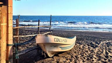 Una playa con una cabaña de techo de paja, una cerca de madera y un barco llamado 'CONCEPTION' atado a la cerca.