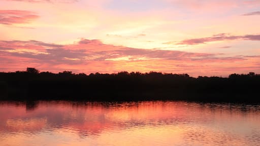 A sunset over a body of water with a silhouette of trees in the distance.