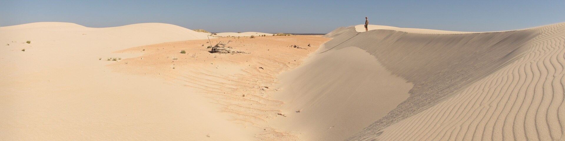 dramatic eucla sand dunes, western australia