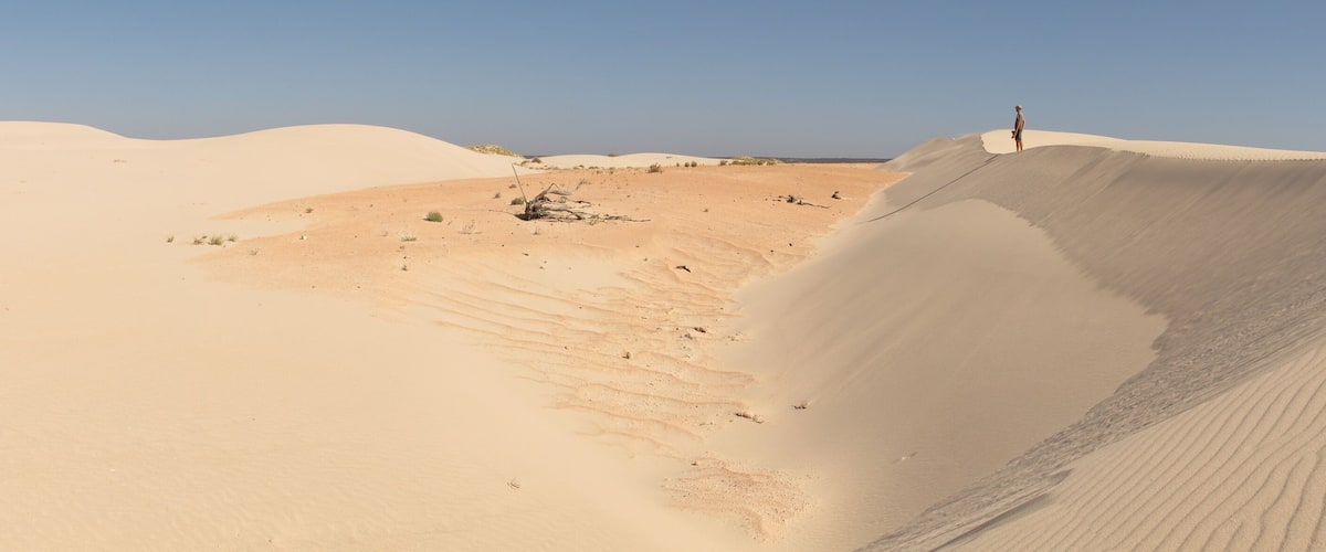 A desert landscape with sand dunes and sparse vegetation.