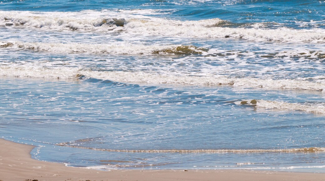 Matagorda
