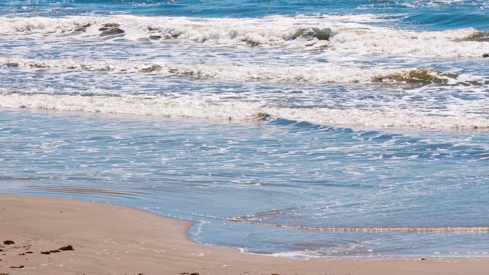 A beach with waves gently lapping at the shore.