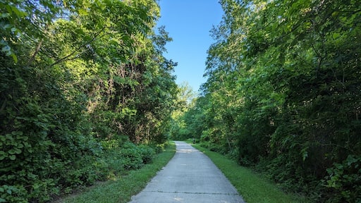 Path in Medina River Trail at San Antonio TX