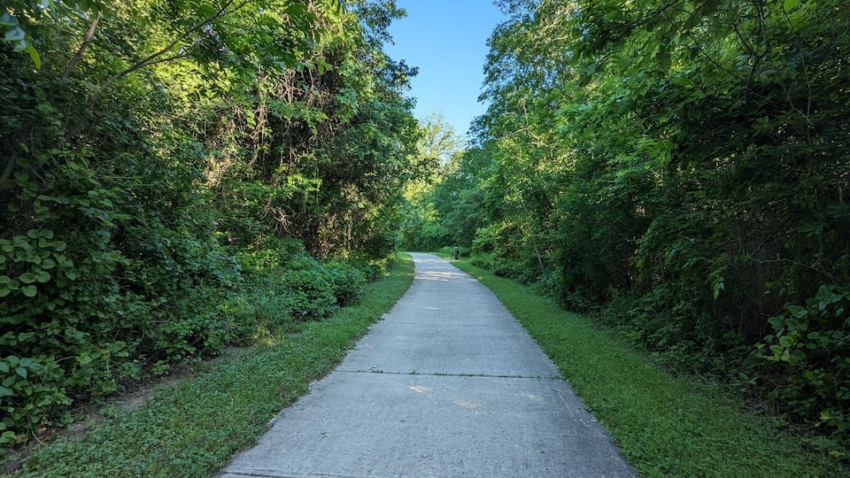 A paved path flanked by dense green foliage under a clear blue sky.