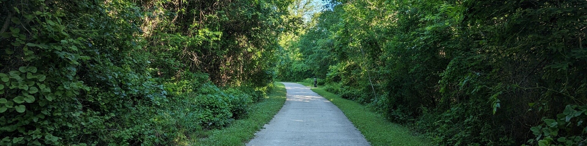 Path in Medina River Trail at San Antonio TX