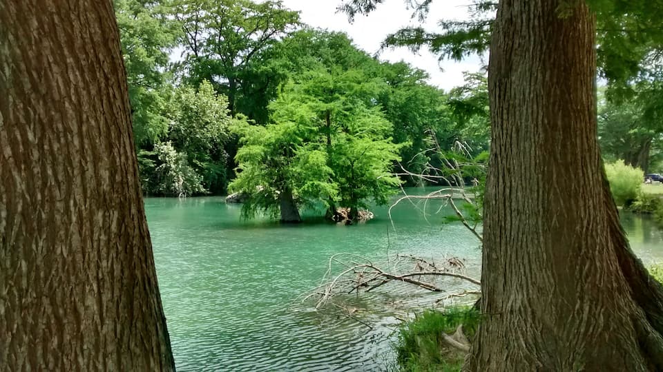 A serene river surrounded by dense trees and a clear sky.