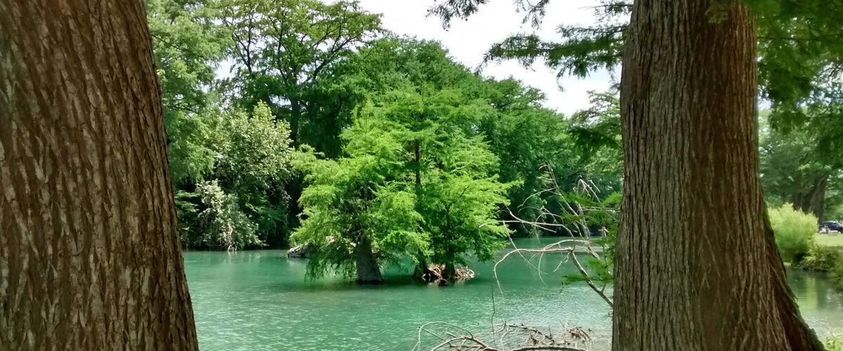 A serene river surrounded by dense trees and a clear sky.