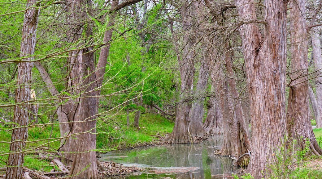 Medina river in Van Ormy Texas on an overcast morning