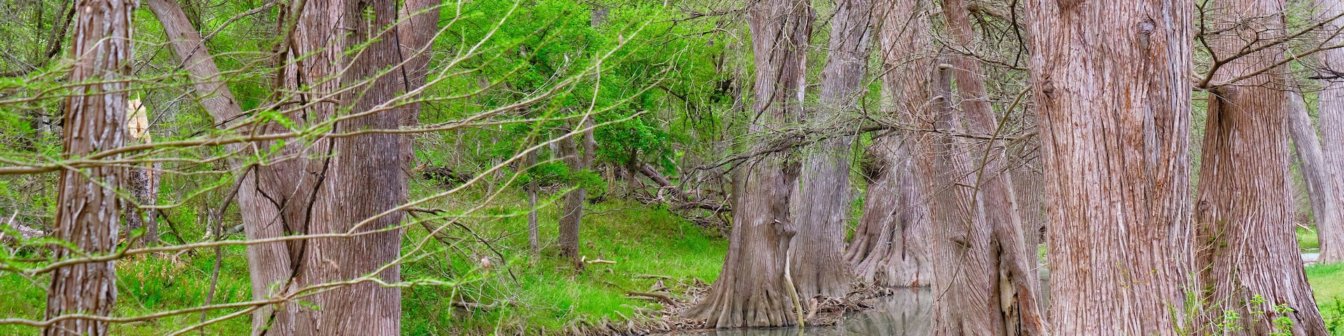 Medina river in Van Ormy Texas on an overcast morning