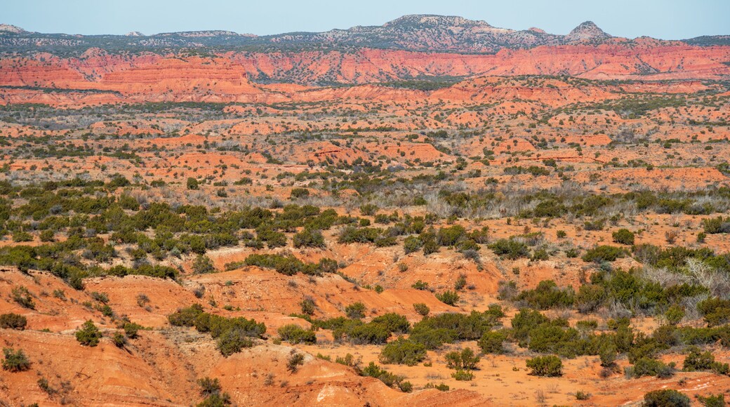 Caprock Canyons State Park, in the eastern edge of the Llano Estacado in Briscoe County, Texas