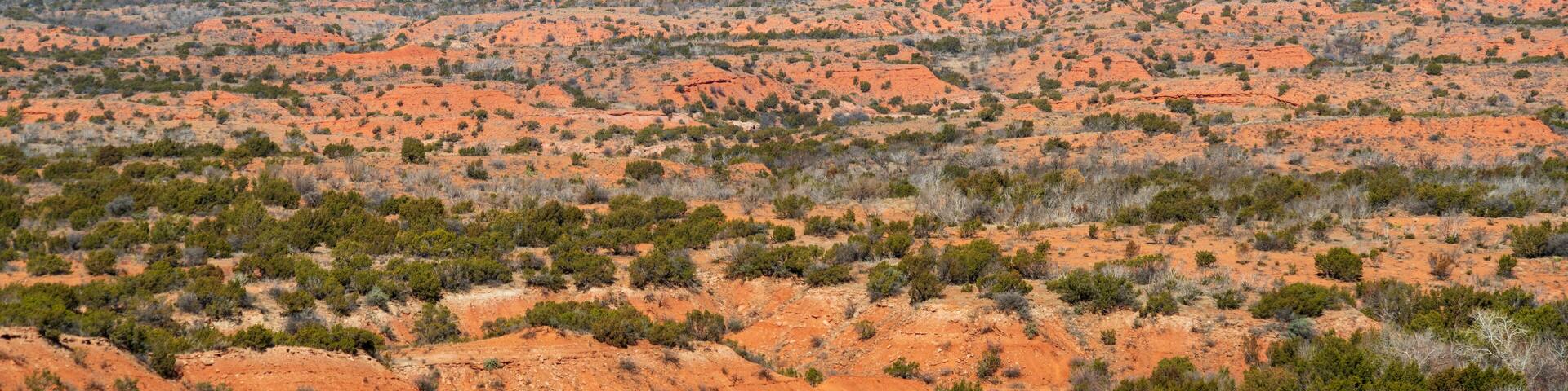 Caprock Canyons State Park, in the eastern edge of the Llano Estacado in Briscoe County, Texas