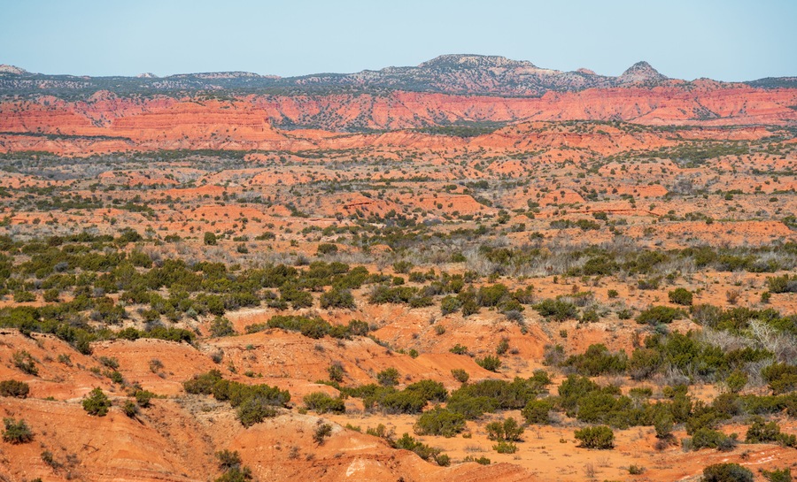 Un vaste paysage désertique caractérisé par des formations rocheuses rouges et une végétation verdoyante parsemée.
