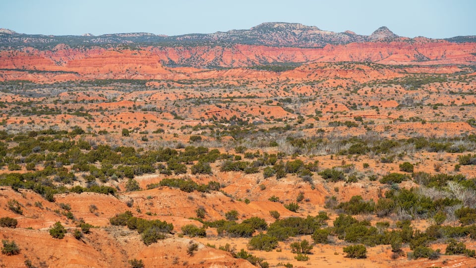 A vast desert landscape with red rock formations and scattered green vegetation.
