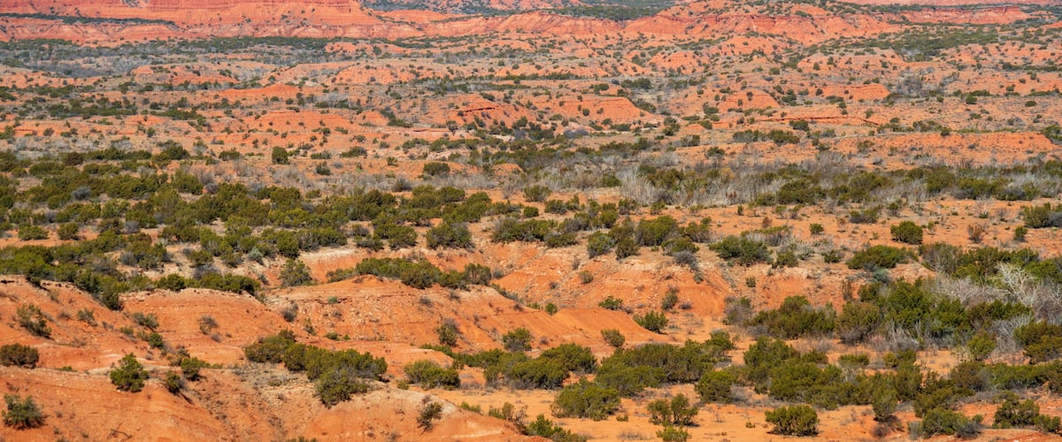 A vast desert landscape with red rock formations and scattered green vegetation.