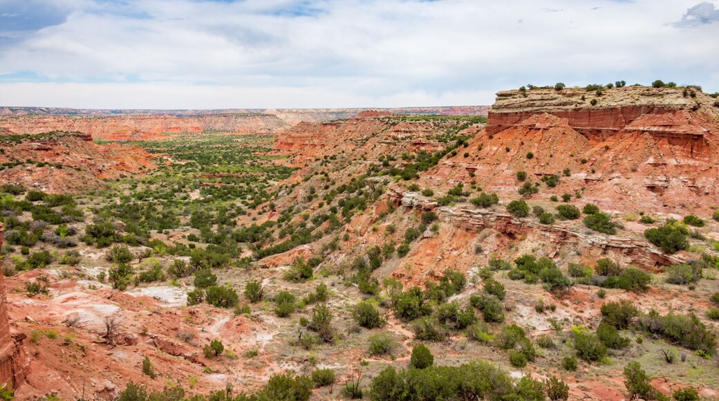 Palo Duro Canyon State Park, located in the Texas Panhandle