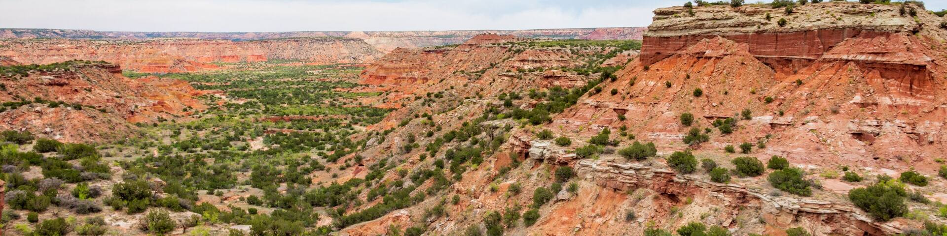 A vast canyon with red rock formations and sparse green vegetation.