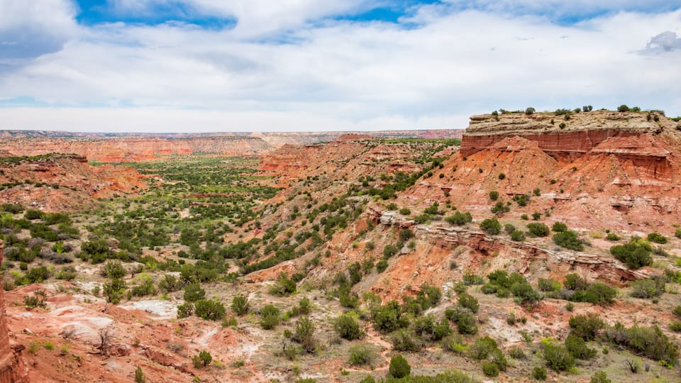 A vast canyon with red rock formations and sparse green vegetation.