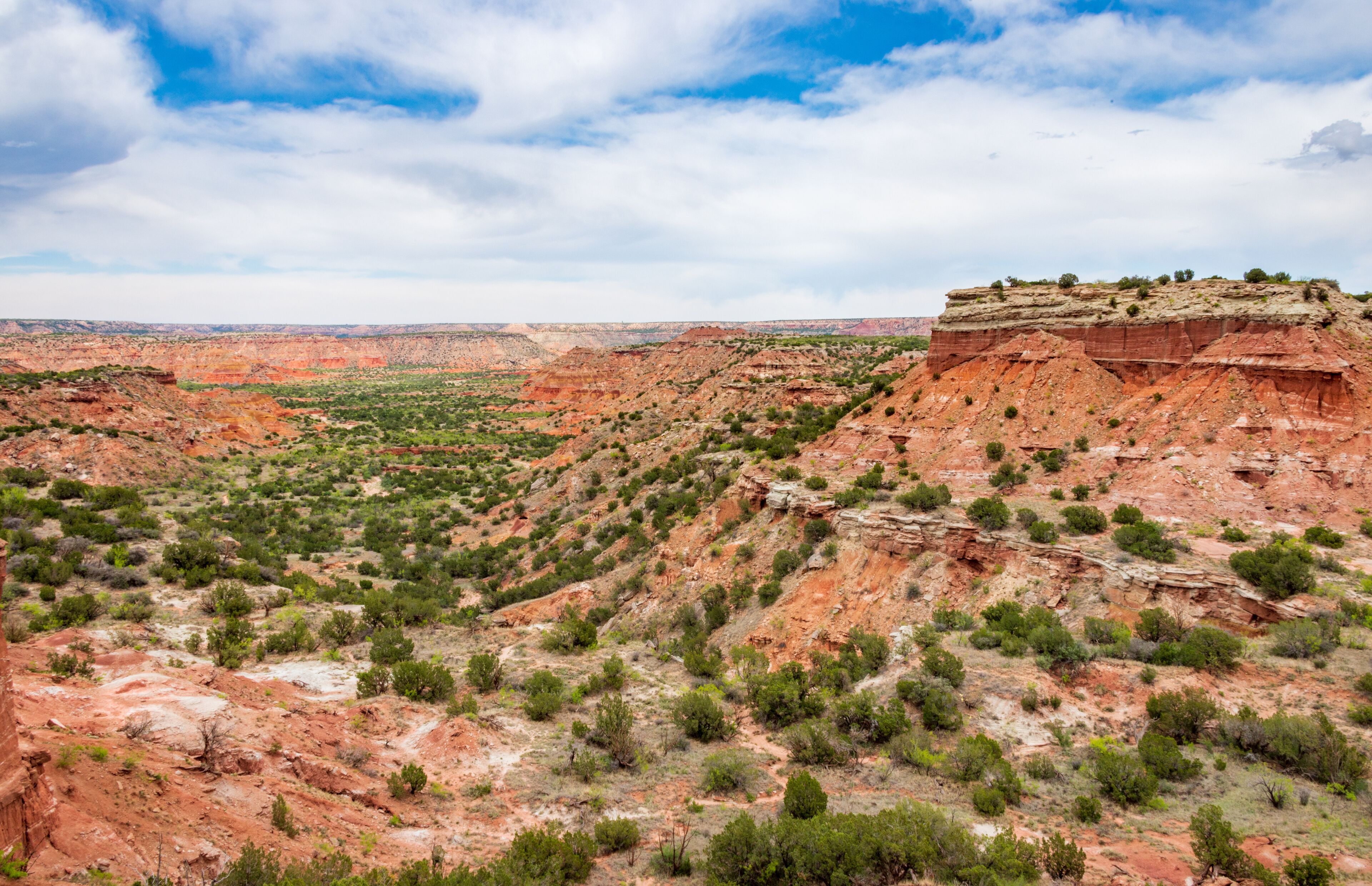 A vast canyon with red rock formations and sparse green vegetation.