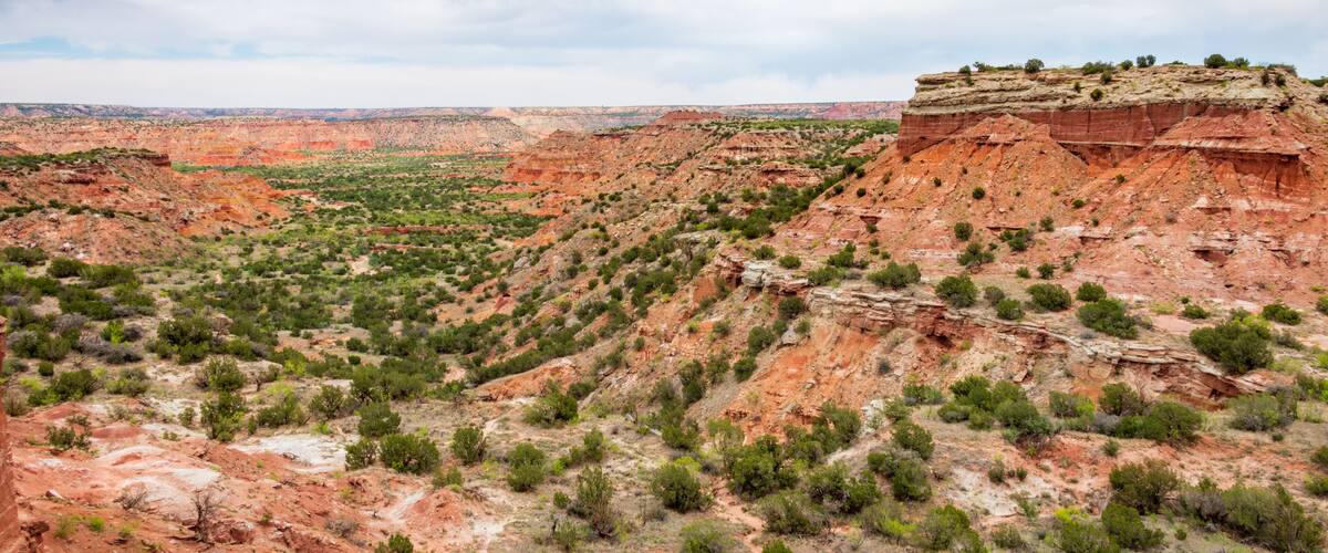 A vast canyon with red rock formations and sparse green vegetation.