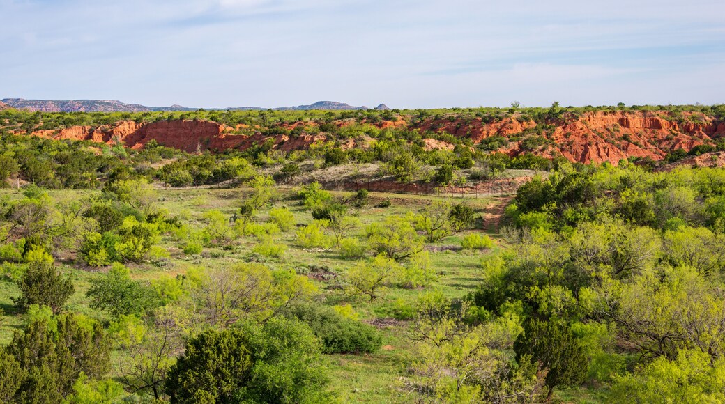 Caprock Canyons State Park, in the eastern edge of the Llano Estacado in Briscoe County, Texas