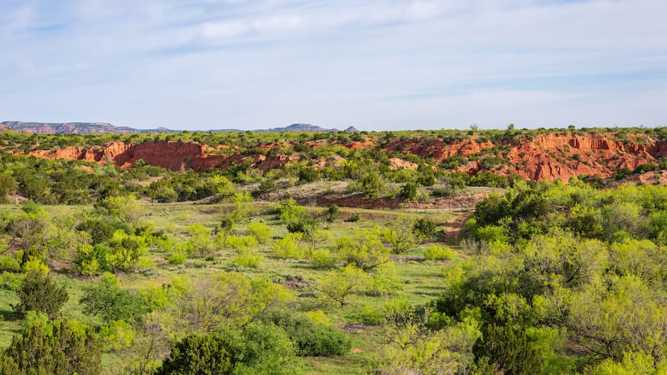 A landscape with green vegetation and red rock formations.