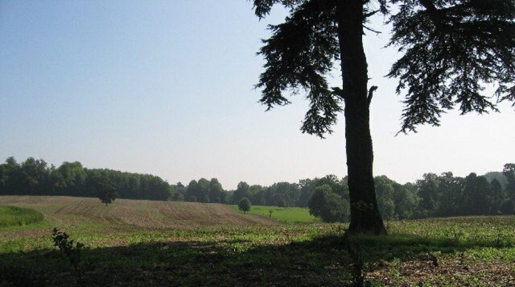 Farmland near Rushton, Northamptonshire. On the edge of the Rushton Hall estate.