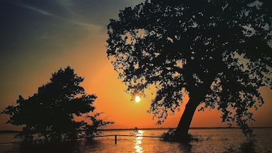 Heavy rains flood the boat launch in Oak Point, TX #SpringFun
