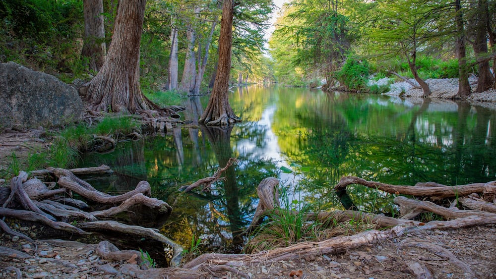 Une forĂȘt paisible, traversĂ©e par une riviĂšre aux eaux calmes, qui reflĂšte les arbres et la vĂ©gĂ©tation environnante.