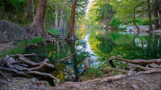 Frio River in Texas. Crystal clear but cool swimming waters.