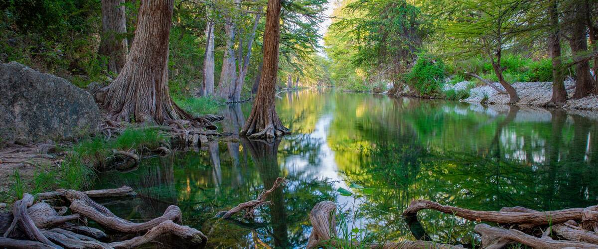 A serene forest with a calm river, reflecting the surrounding trees and greenery.
