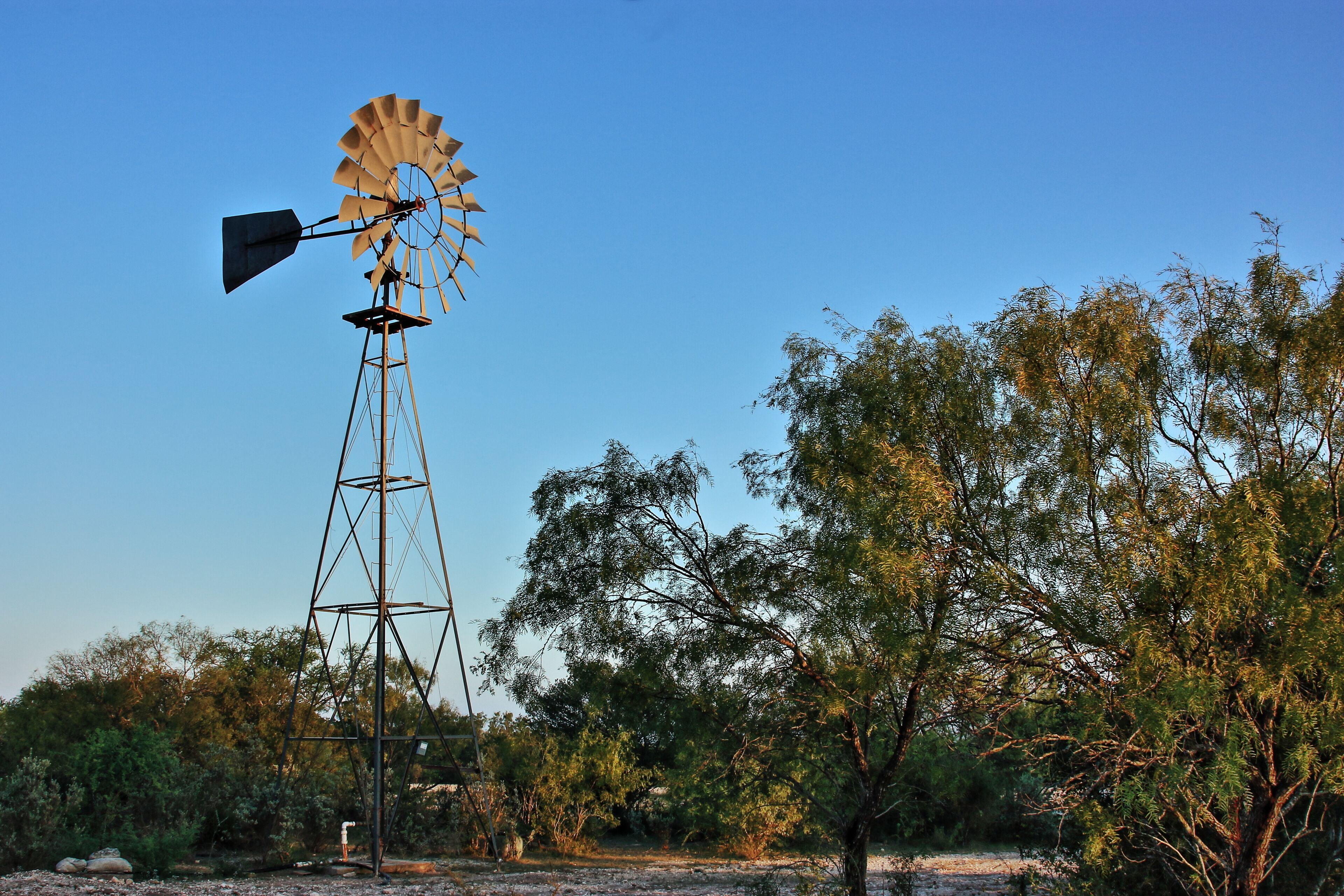 Sabinal Texas Sunrise Windmill