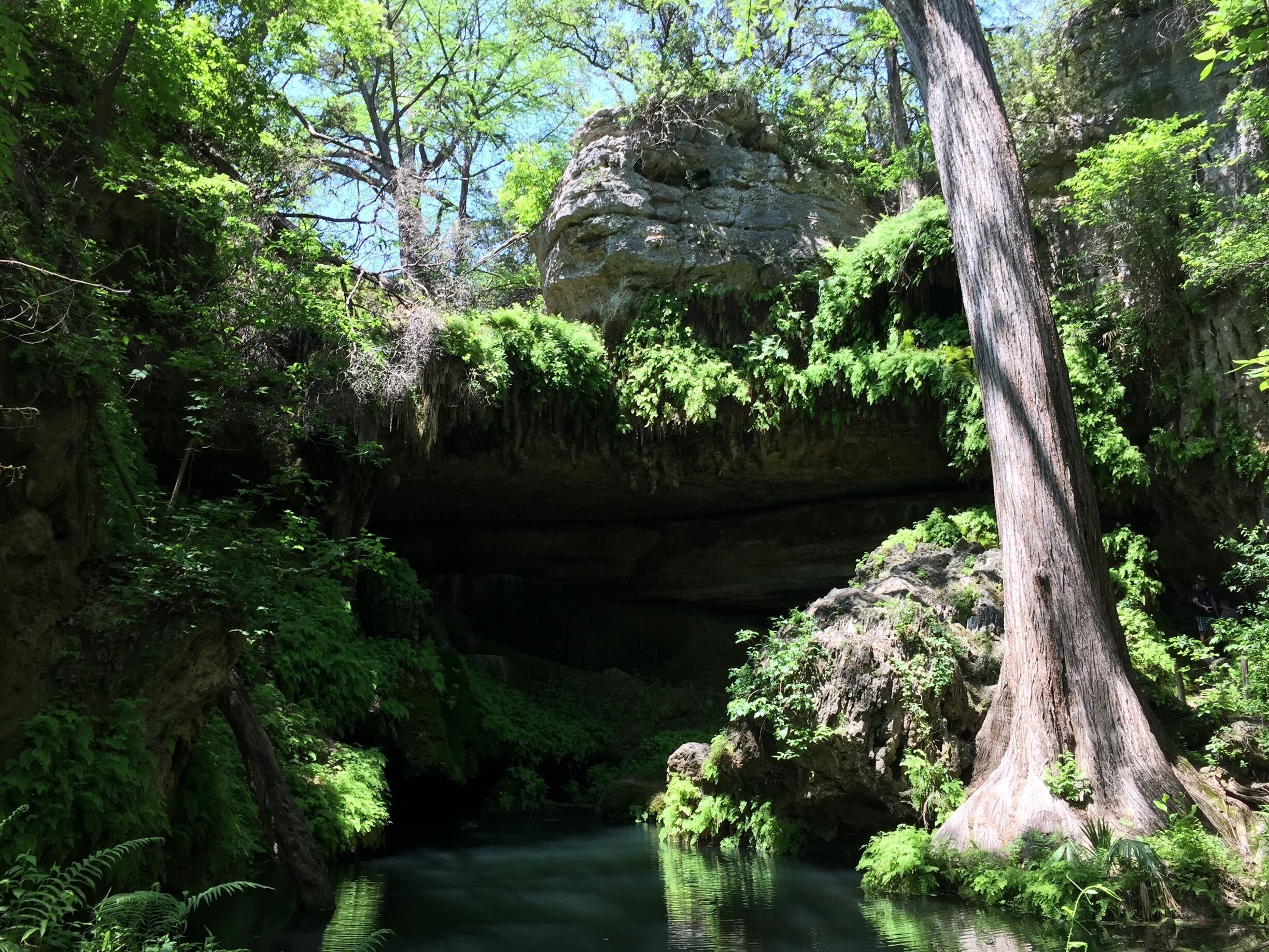 A serene forest with a large rock formation over a stream, surrounded by lush greenery.