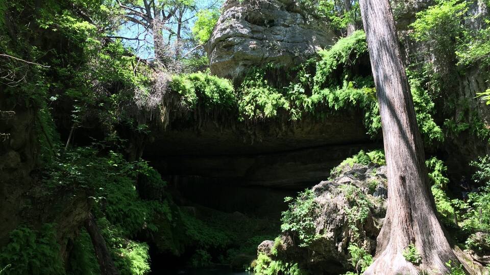 A serene forest with a large rock formation over a stream, surrounded by lush greenery.
