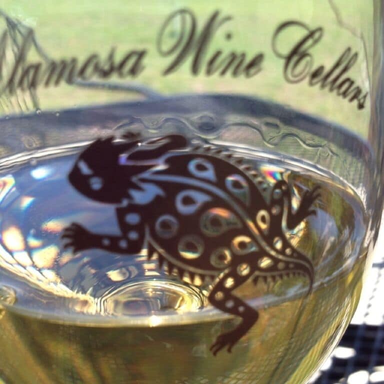 Free wine tasting!  Grab some of their estate white, and then head to Colorado Bend State park!