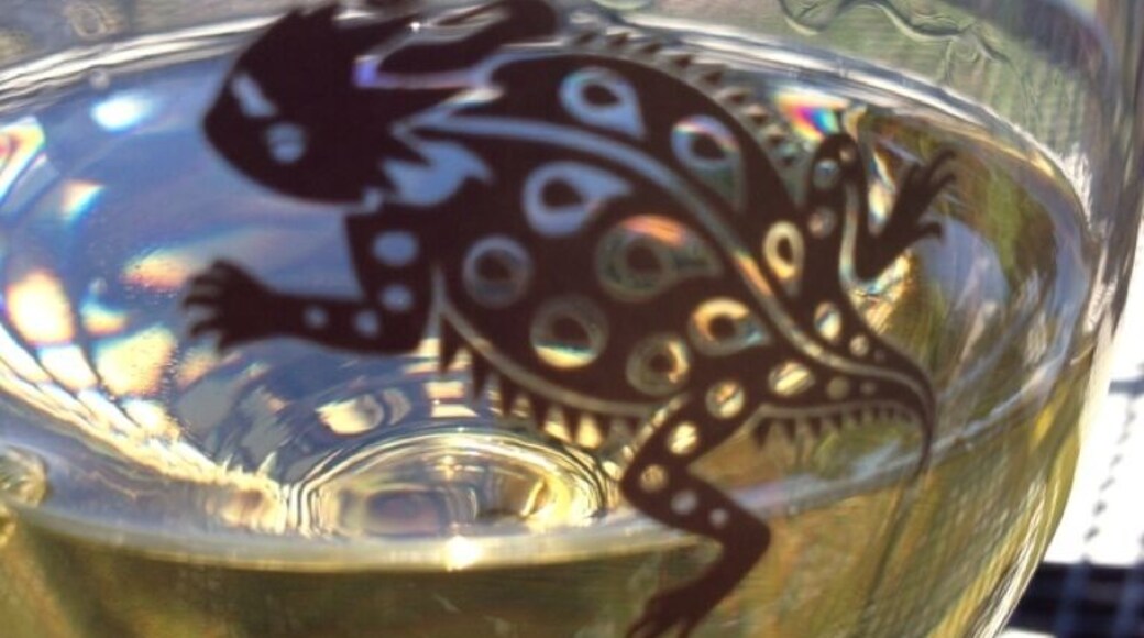 Free wine tasting! Grab some of their estate white, and then head to Colorado Bend State park!