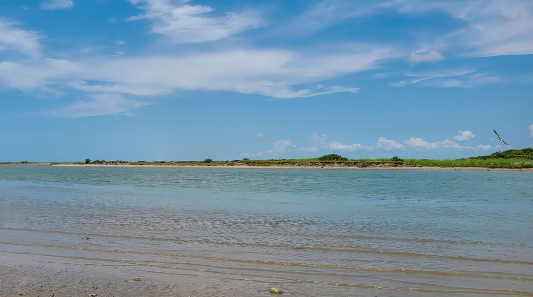 The Colorado River near Matagorda Beach in Texas